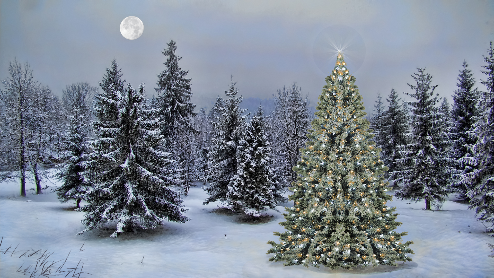 Download Moon Star Snow Forest Christmas Tree Holiday Christmas HD ...