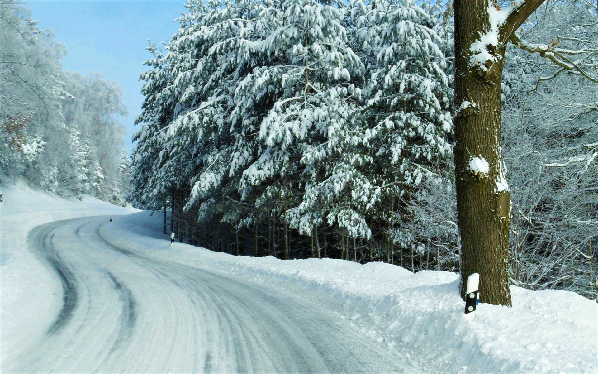 Download Tree Snow Road Nature Winter HD Wallpaper | 1920x1200 ...