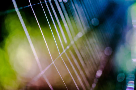 Macro photography of a spider web with colorful bokeh lights, designed as an HD PC desktop wallpaper and background.