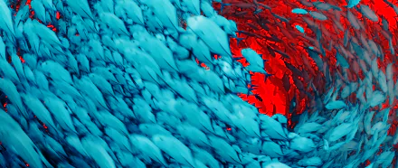 A vibrant 4K Ultra HD PC wallpaper featuring a swirling school of blue fish from the video game Abzu against a striking red background.