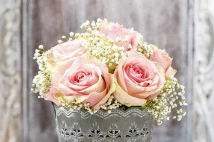  Soft Pink Roses and Baby's Breath