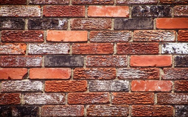 Photography Brick Wall Texture HD Wallpaper | Background Image