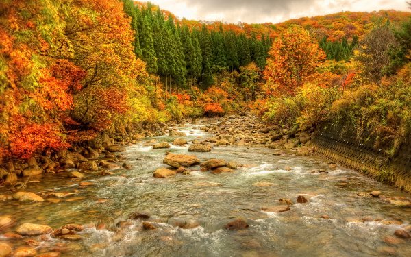 Earth River Forest Mountain Landscape Fall Colors Colorful HD Wallpaper | Background Image