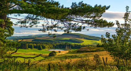 hill forest nature landscape HD Desktop Wallpaper | Background Image