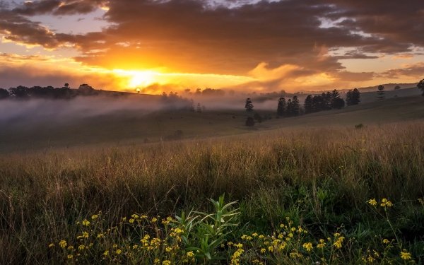 Nature Landscape Fog Sunrise Grass HD Wallpaper | Background Image