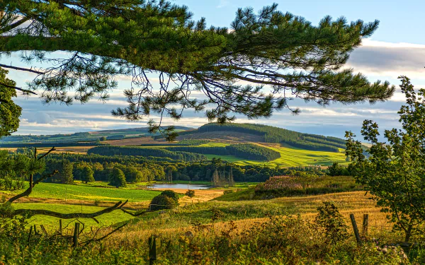 hill forest nature landscape HD Desktop Wallpaper | Background Image