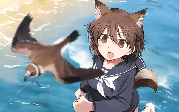 Hikari Karibuchi Anime Brave Witches HD Desktop Wallpaper | Background Image