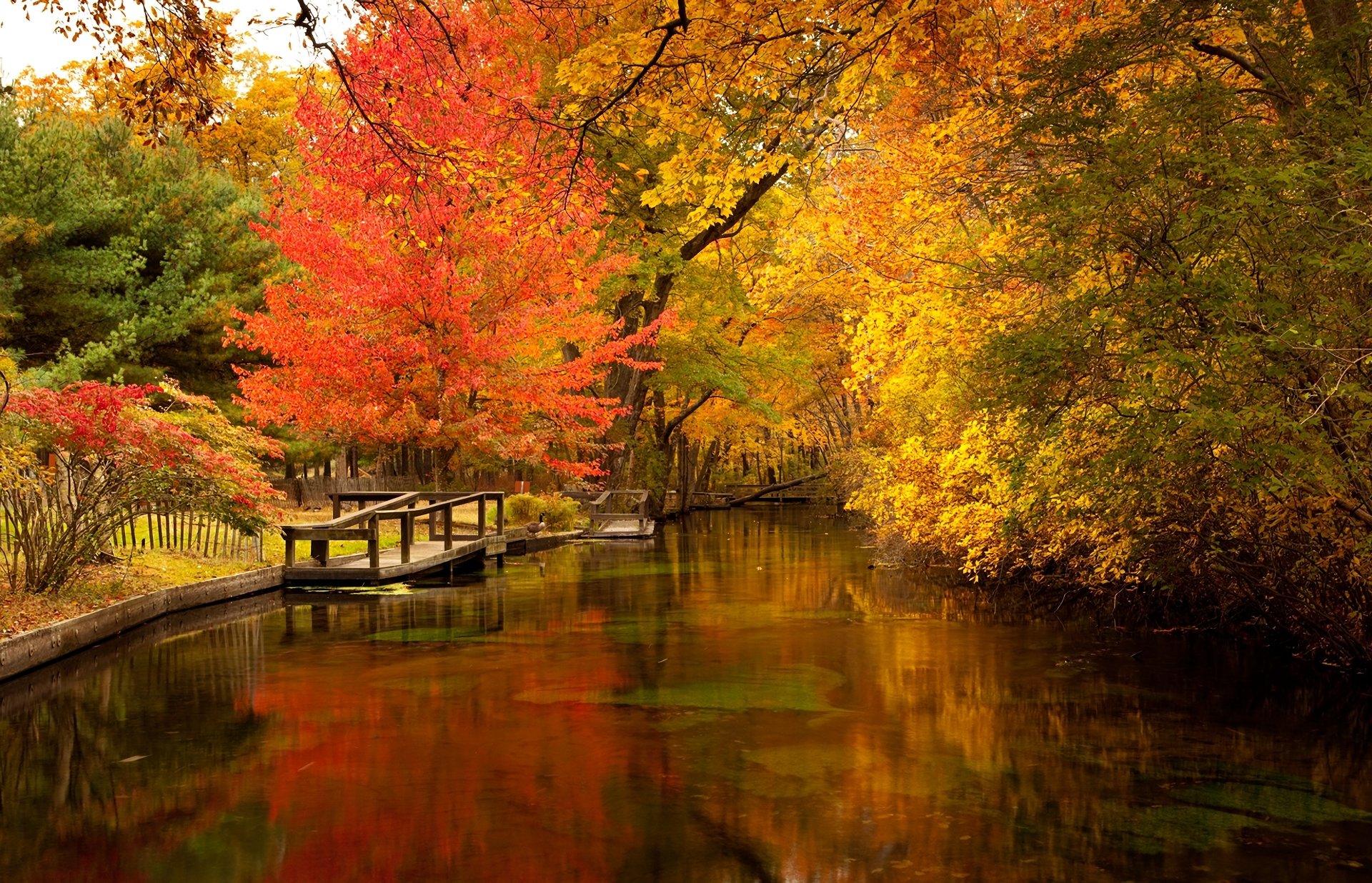 A vibrant fall scene with colorful trees reflecting on a calm pond in a park, captured in HD photography for a PC desktop wallpaper background.