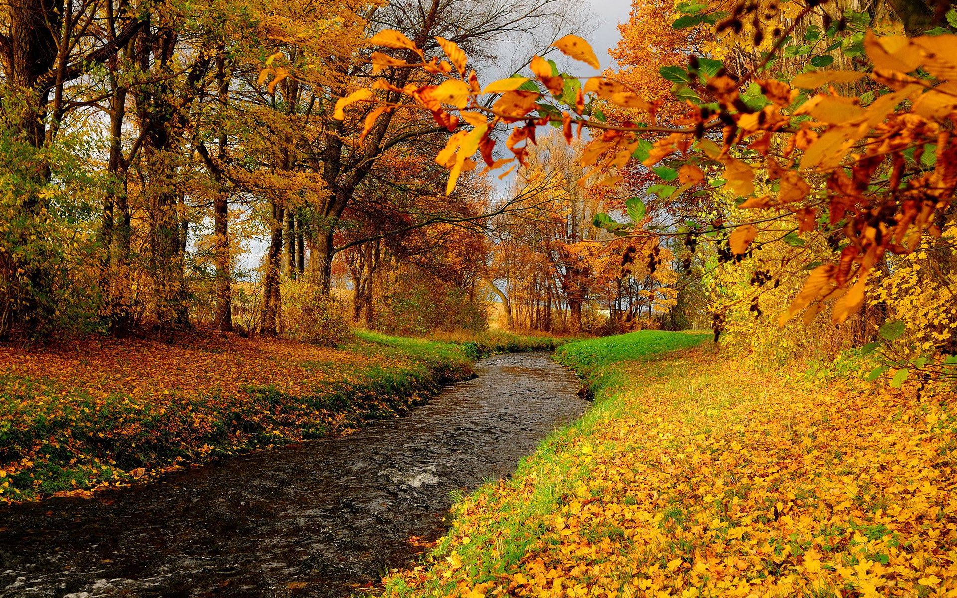 Autumn Creek HD Wallpaper | Background Image | 1920x1200 | ID:745848
