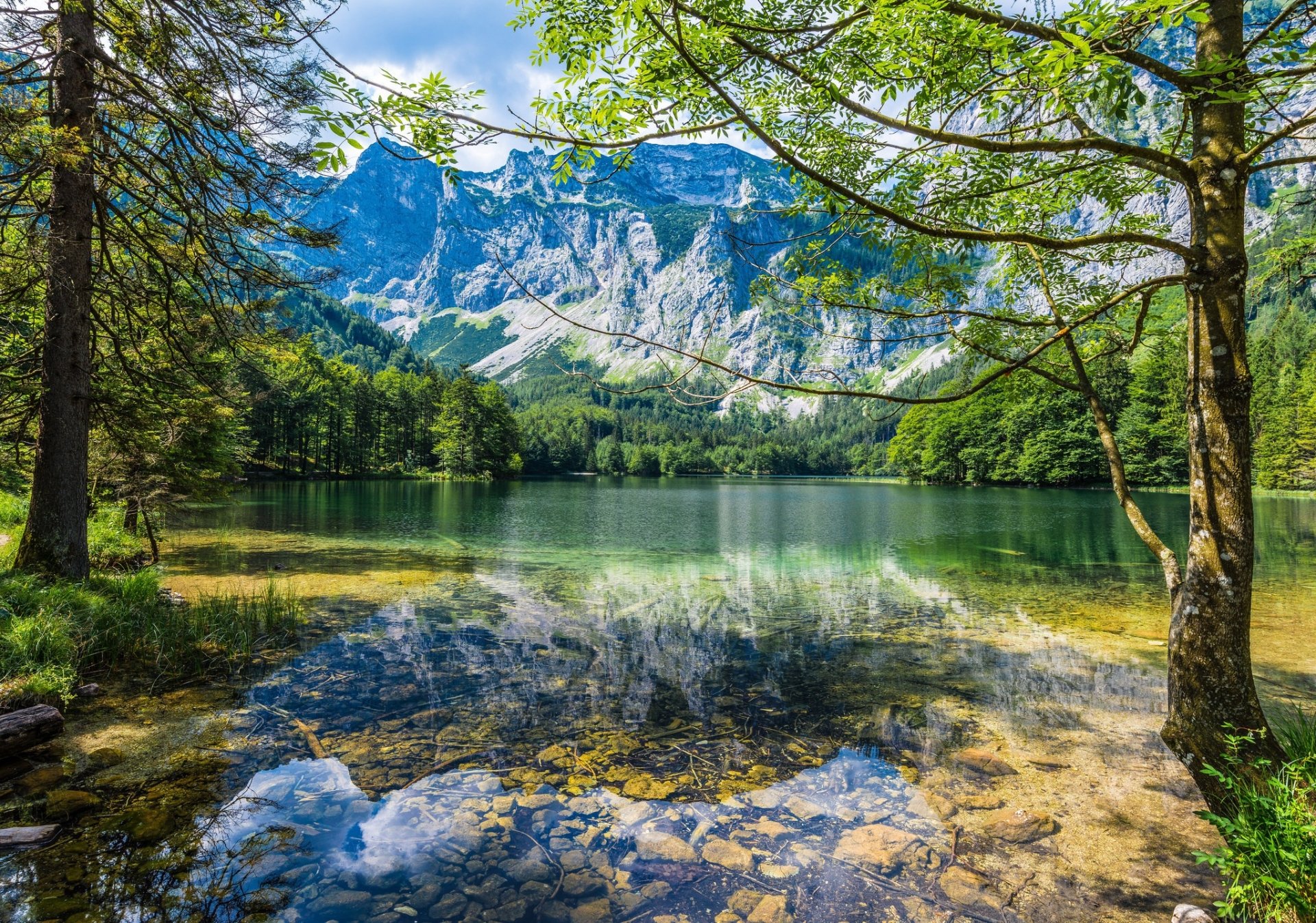 Download Tree Forest Reflection Mountain Nature Lake HD Wallpaper ...
