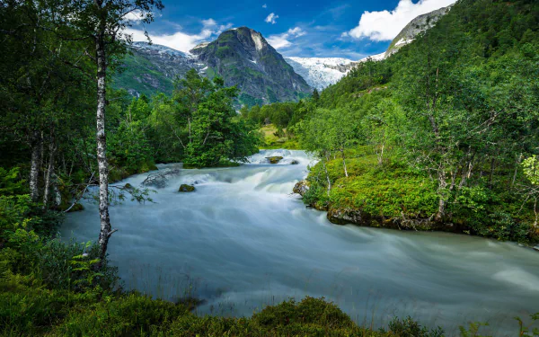 Norwegian mountain tree nature river HD Desktop Wallpaper | Background Image