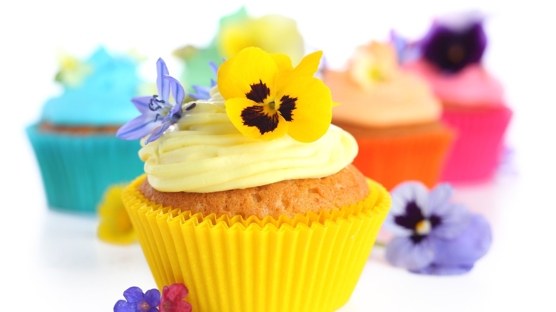 A vibrant HD desktop wallpaper featuring colorful cupcakes with creamy frosting and delicate edible flowers, showcasing sweets and dessert in bright, cheerful tones.