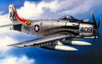 Douglas A-1 Skyraider 高清壁纸 桌面背景