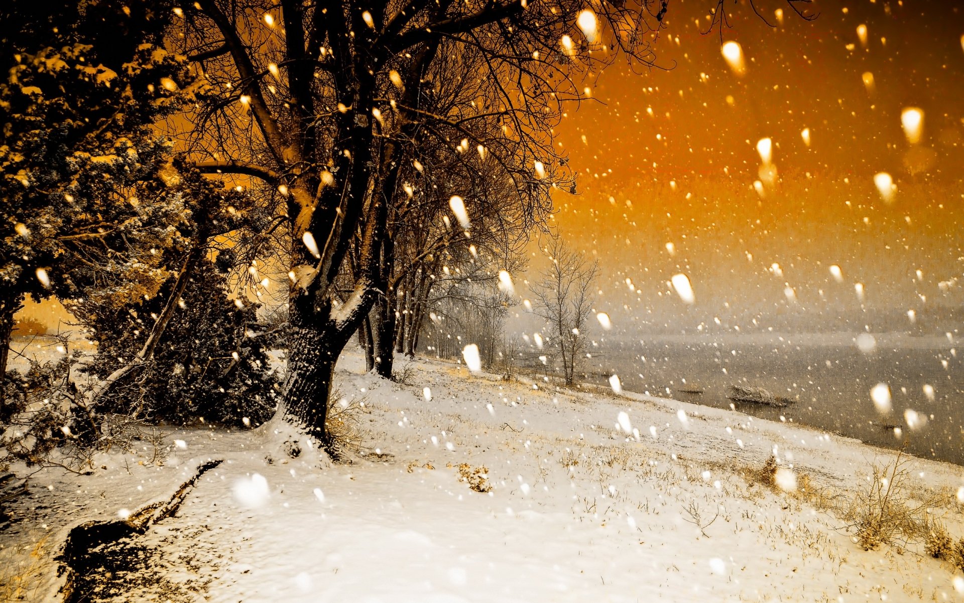2K Quad HD — Winter Sunset: Snowfall by the Trees | 2560x1602 ...