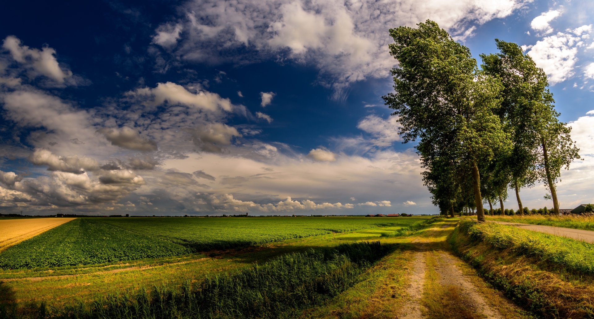 A scenic landscape featuring a dirt road winding through lush fields, with dramatic clouds and a vibrant sky stretching toward the horizon, captured in stunning 4K Ultra HD quality.