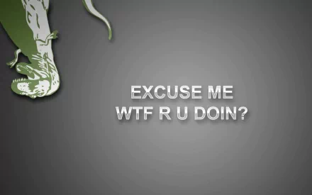 A humorous dinosaur graphic features the text EXCUSE ME WTF R U DOIN? set against a sleek gray backdrop, making for an entertaining HD PC desktop wallpaper.