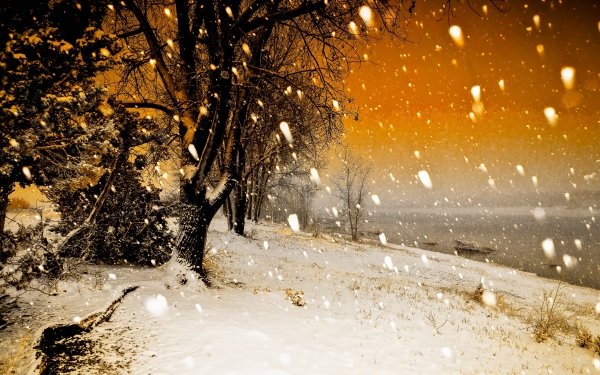 Earth Winter Nature Snow Snowfall Tree Sunset HD Wallpaper | Background Image