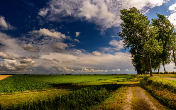 A scenic landscape featuring a dirt road winding through lush fields, with dramatic clouds and a vibrant sky stretching toward the horizon, captured in stunning 4K Ultra HD quality.