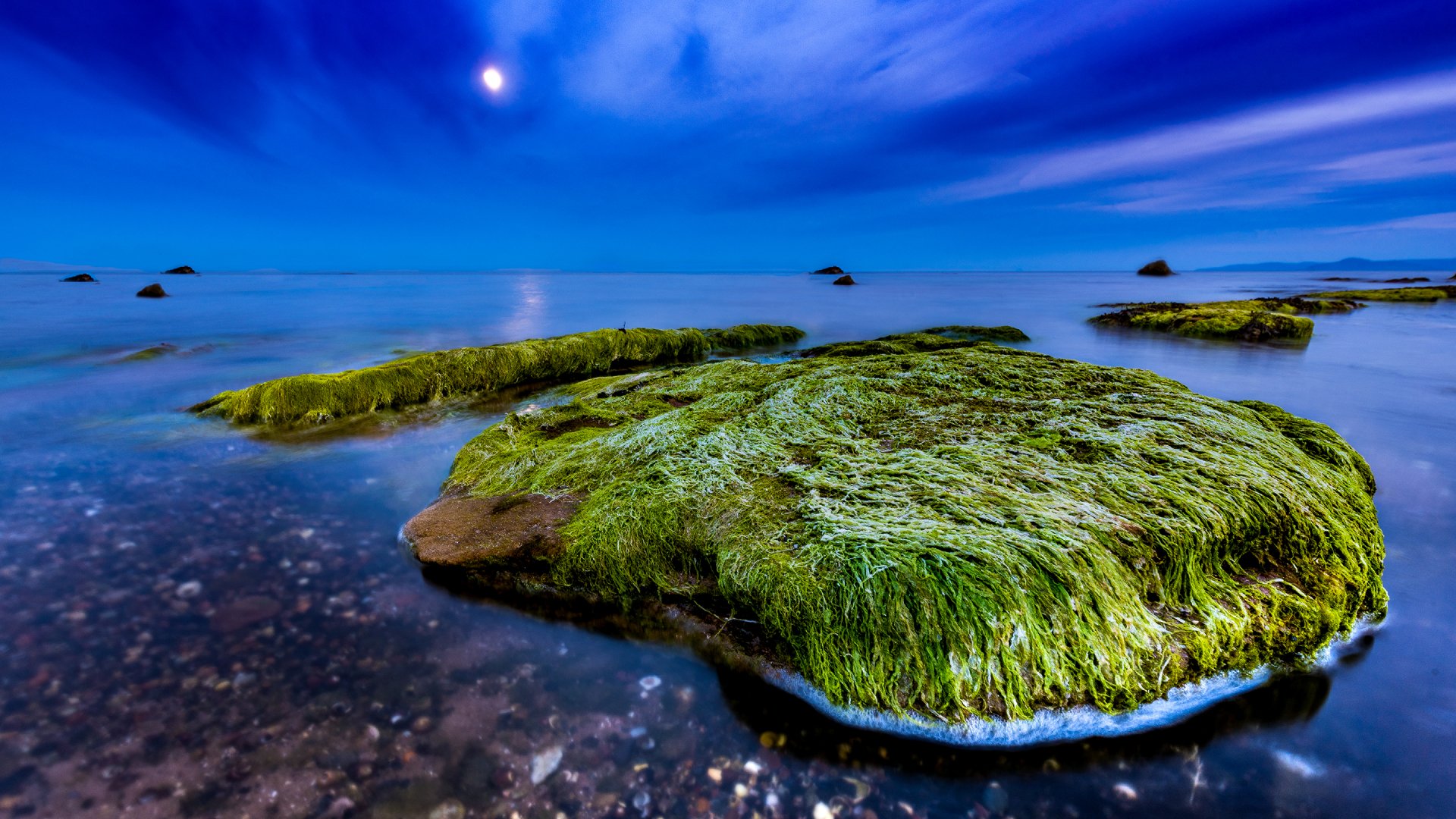 2K Quad HD PC desktop wallpaper background: moss- and seaweed-covered rocks on a Scottish shoreline, ocean horizon and serene blue sky, a nature scene.