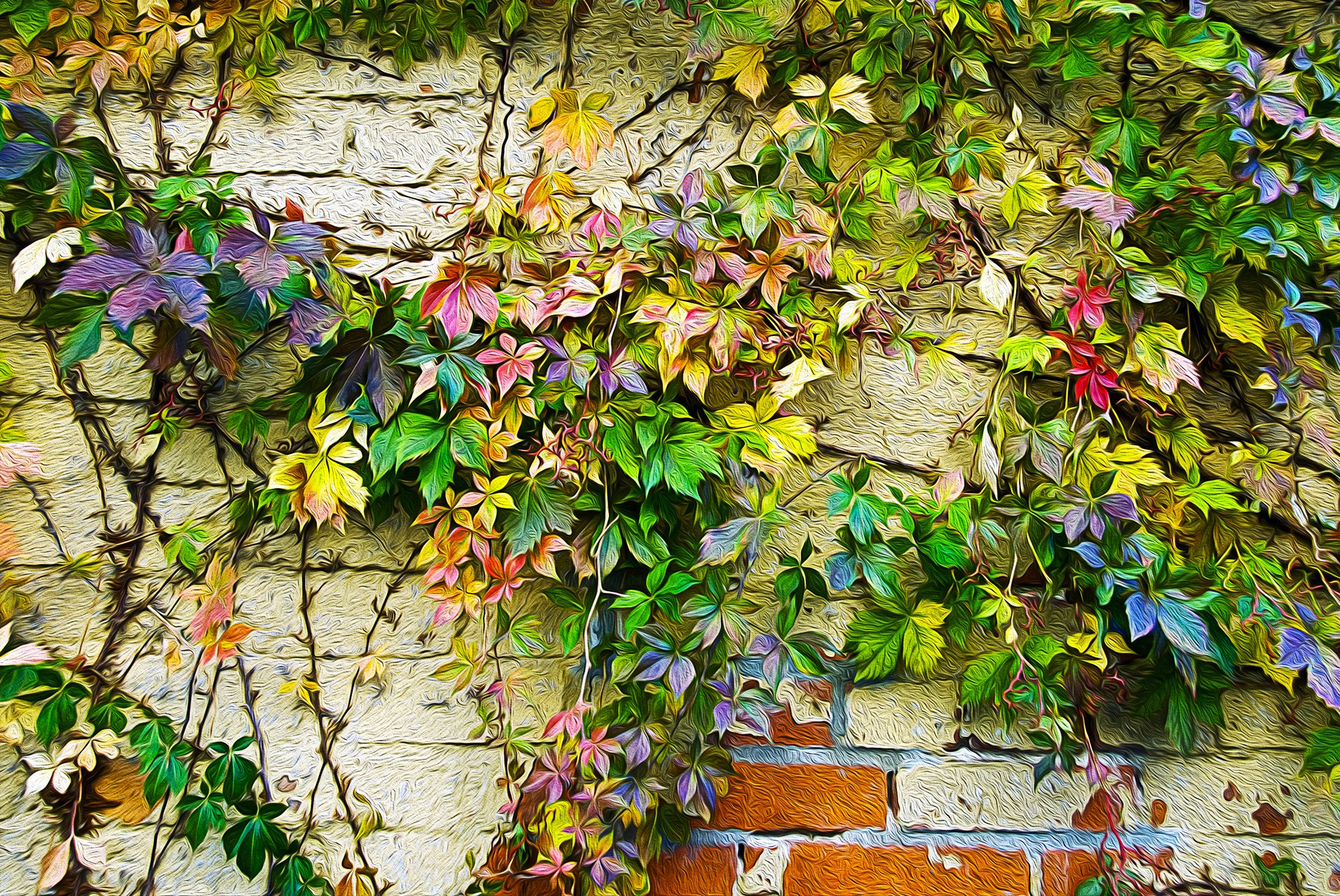 Multicolored Vines HD Wallpaper | Background Image | 1920x1285 | ID