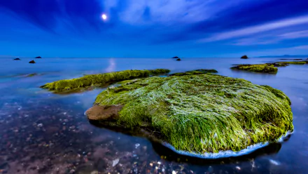  Ocean in Scotland