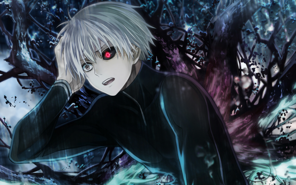Anime Tokyo Ghoul Ken Kaneki White Hair Red Eyes Grey Eyes Heterochromia Kagune HD Wallpaper | Background Image