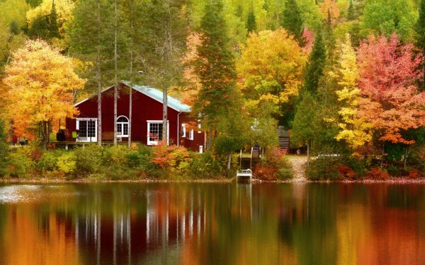 Man Made House Quebec Canada Reflection Fall Tree HD Wallpaper | Background Image