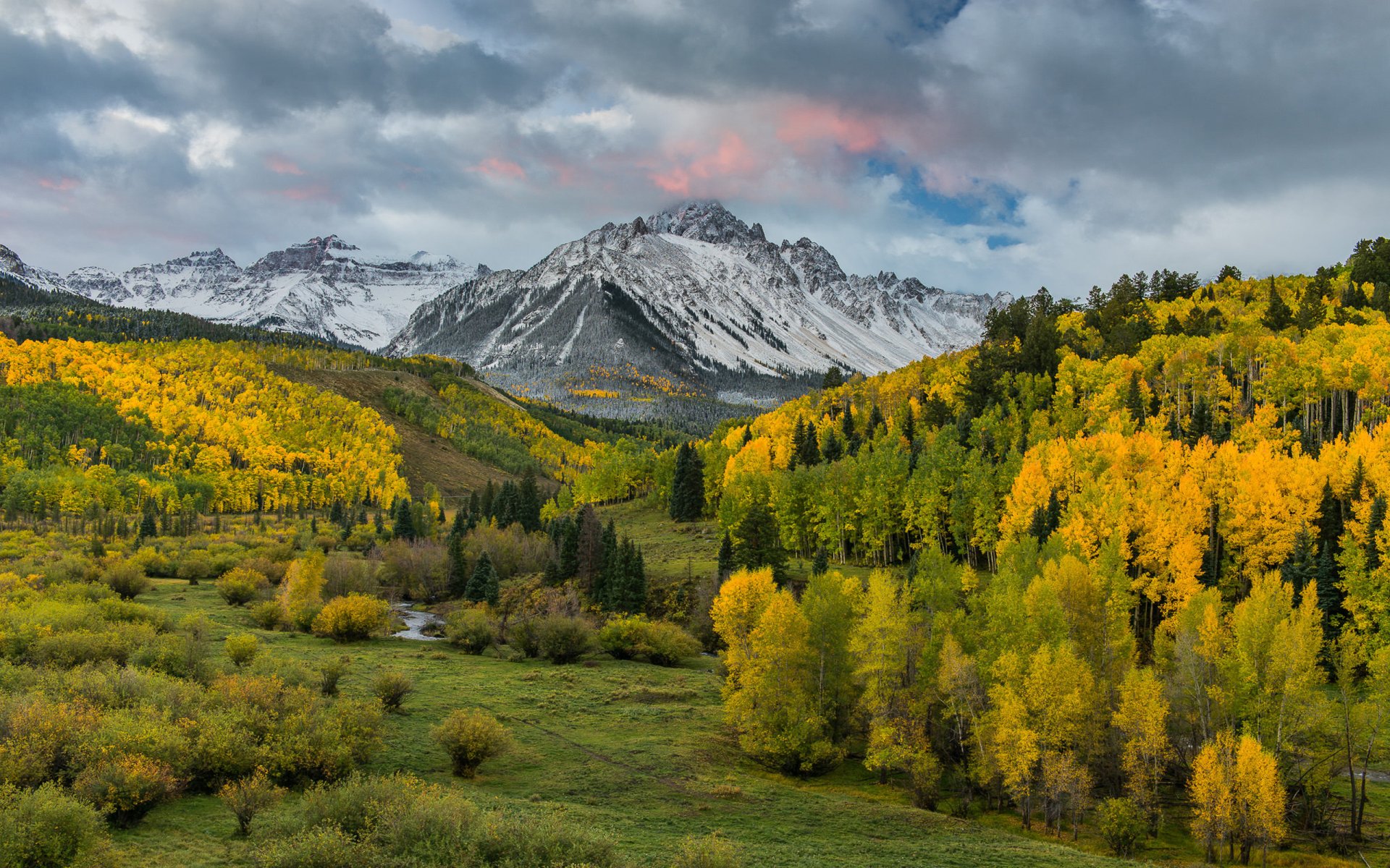 Download Fall Forest Tree Mountain Nature Landscape HD Wallpaper