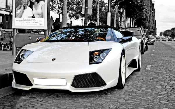 A high-definition desktop wallpaper featuring a white Lamborghini Murcielago parked on a cobblestone street, set against an urban backdrop with trees and buildings.