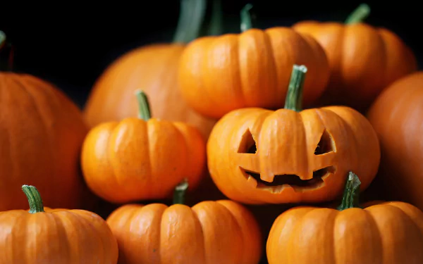 food pumpkin HD Desktop Wallpaper | Background Image