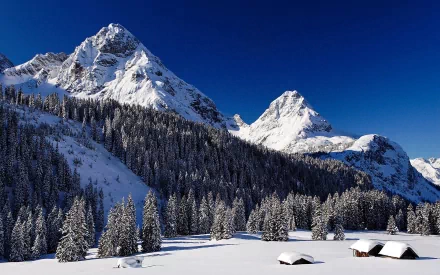 HD desktop wallpaper of a serene winter landscape, featuring snow-covered mountains and trees under a clear blue sky.