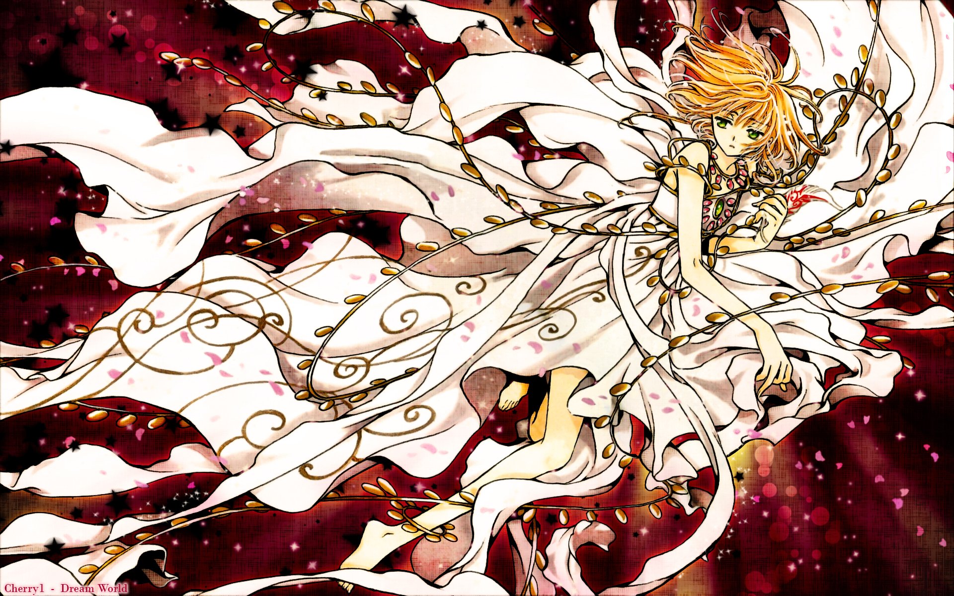 Tsubasa: Reservoir Chronicle A Sub Gallery By: RyuZU².