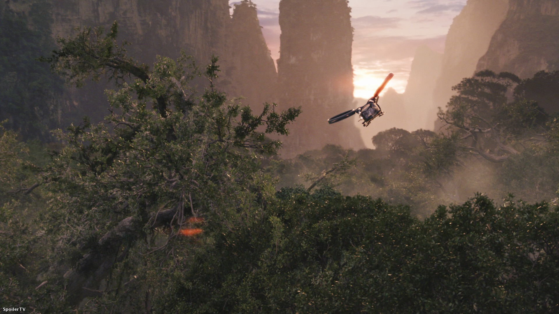 Scenic view of a forest with towering trees, mountains, and a helicopter flying overhead.