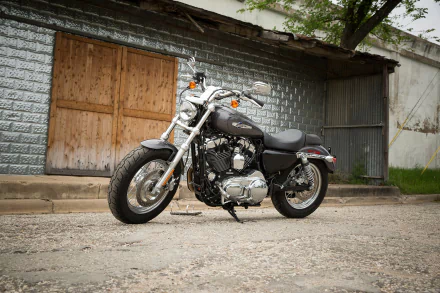  2017 Harley-Davidson 1200 Custom