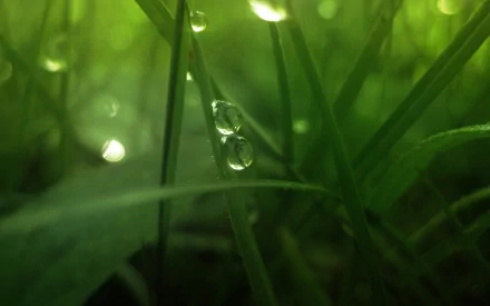 HD close-up of a water drop on green grass blades, with a soft, glowing nature background.