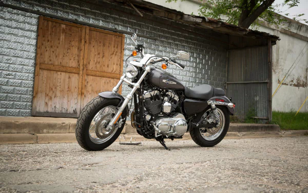 2017 Harley-Davidson 1200 Custom