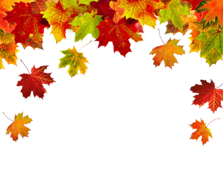  Autumn Leaves