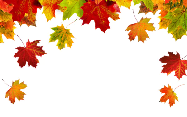  Autumn Leaves