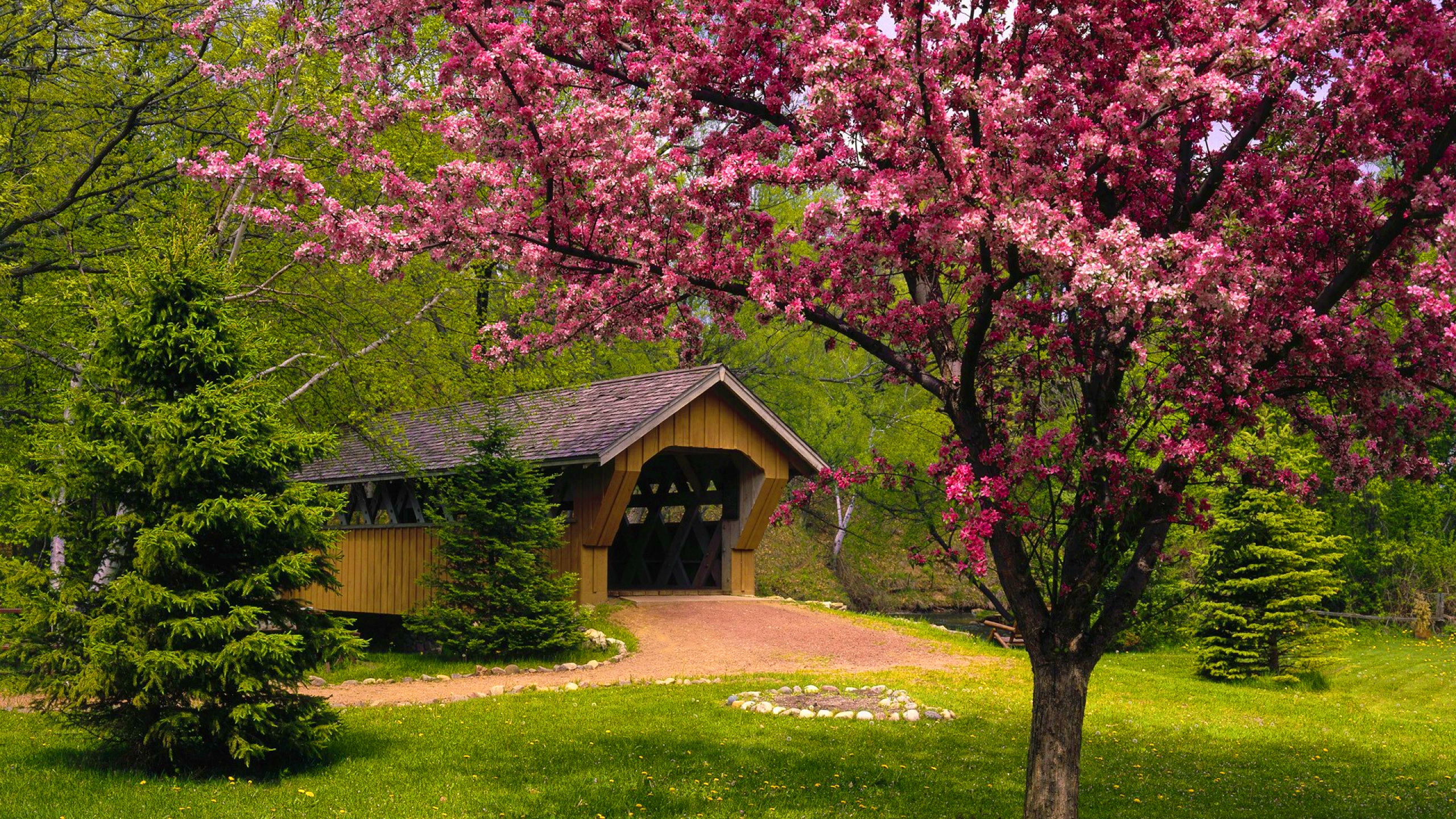 Covered Bridge In Springtime Full HD Wallpaper And Background