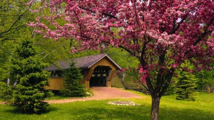  Covered Bridge in Springtime