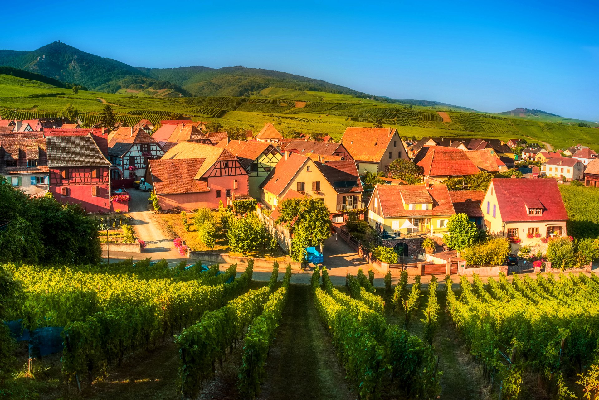 A picturesque landscape of a French village nestled among vineyards and rolling mountains, showcasing charming man-made houses under a clear blue sky.
