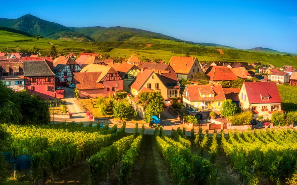 A picturesque landscape of a French village nestled among vineyards and rolling mountains, showcasing charming man-made houses under a clear blue sky.