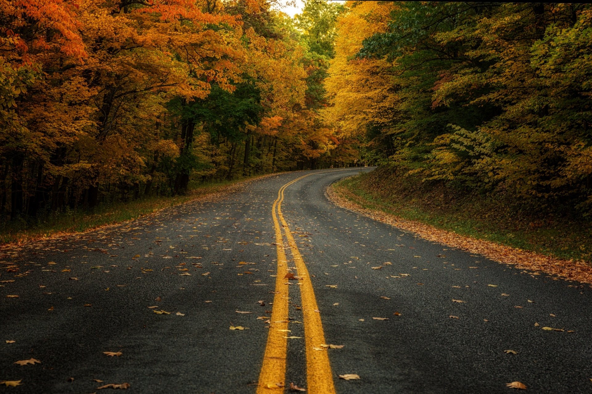 Road HD Wallpaper