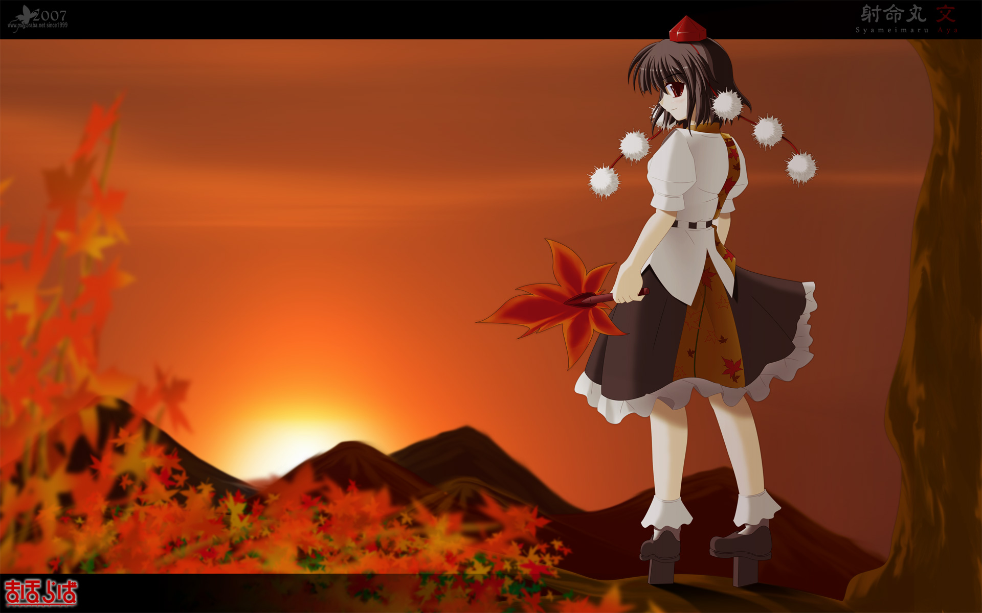 Download Anime Touhou HD Wallpaper