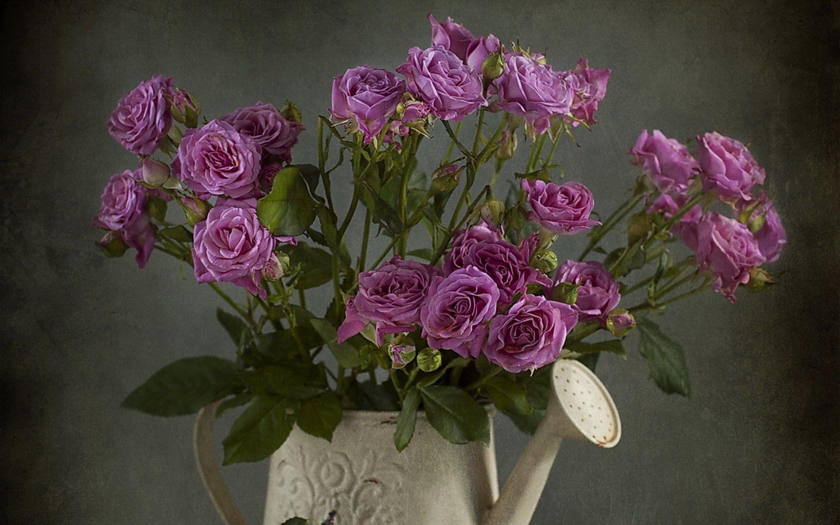 Photography Still Life HD Wallpaper | Background Image