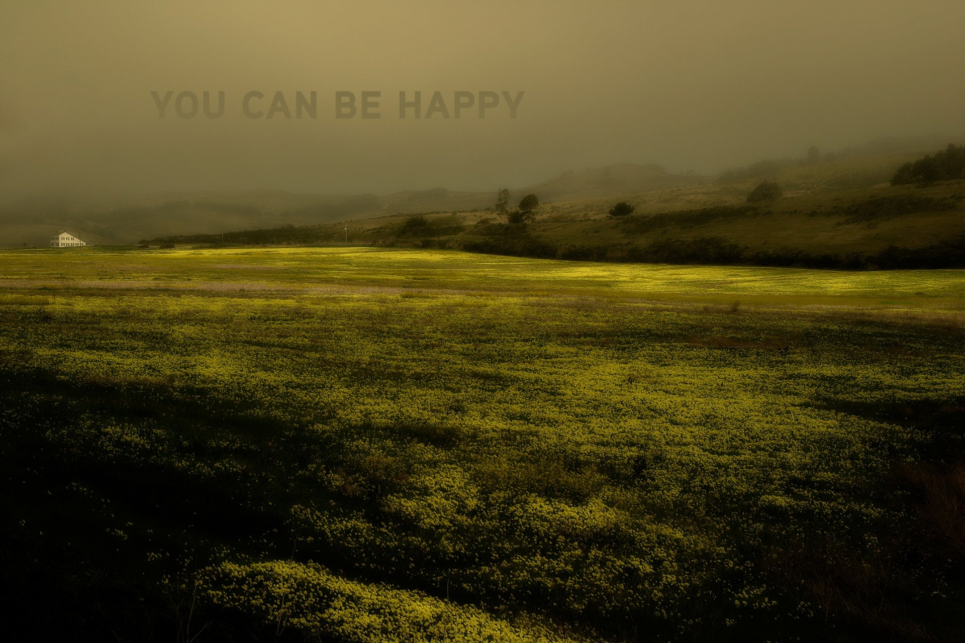 HD desktop wallpaper with a serene nature landscape showcasing a vast, sunlit meadow under a misty sky. The text YOU CAN BE HAPPY is subtly visible amidst the tranquil scenery.