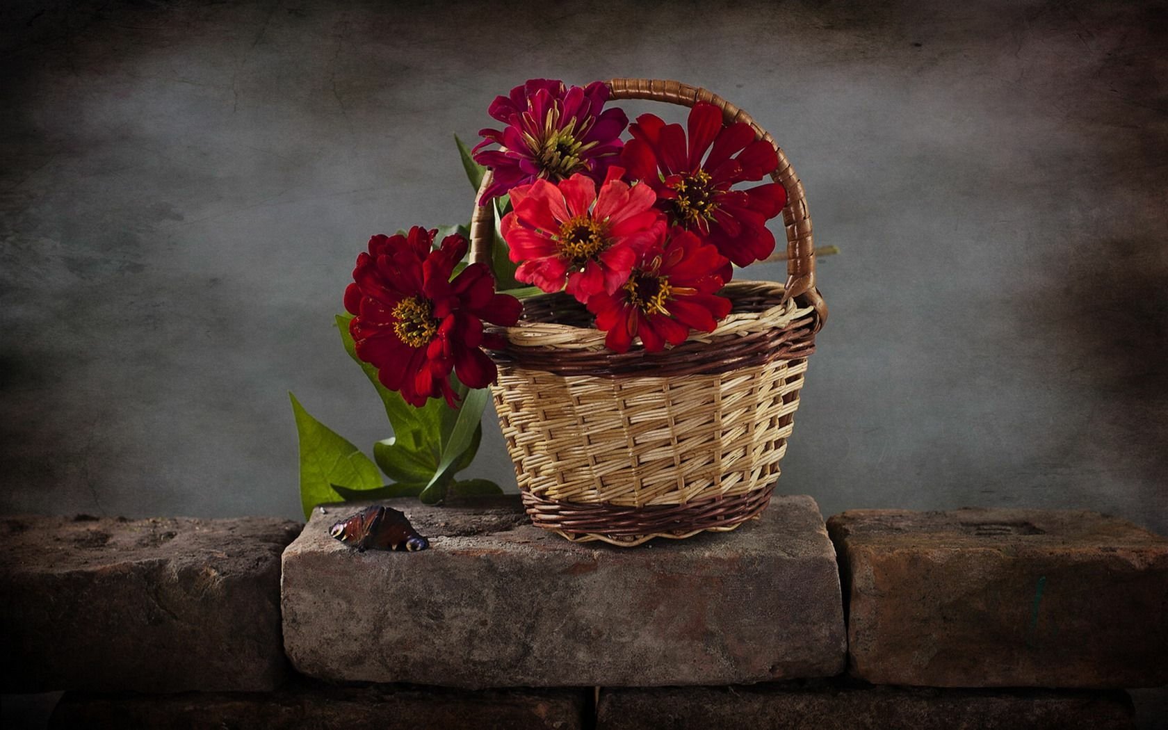 Download Red Flower Basket Zinnea Flower Photography Still Life Wallpaper