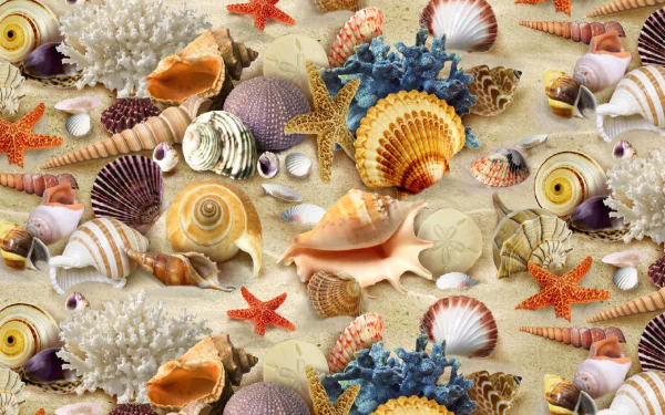 A vibrant display of various colorful shells, including scallops, conchs, and starfish, set against a sandy background, celebrating the beauty of nature and marine life.