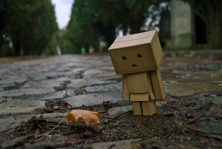 HD desktop wallpaper featuring Danbo, a cardboard box robot, standing on a wet cobblestone path with trees in the background.