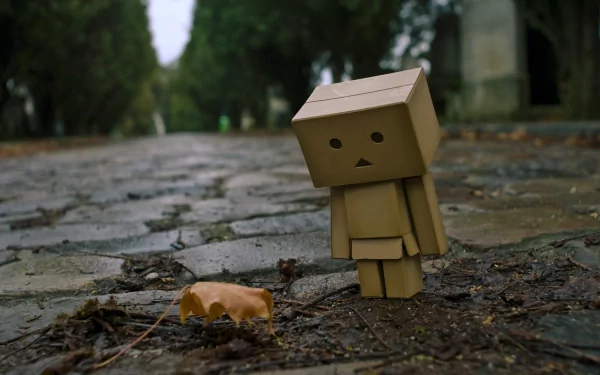 HD desktop wallpaper featuring Danbo, a cardboard box robot, standing on a wet cobblestone path with trees in the background.